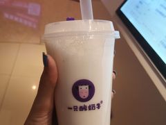 -一只酸奶牛(八一路店)