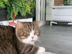 -小时光咖啡馆(北锣鼓巷店)