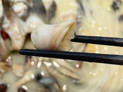 -滇小鱼·云南野生菌火锅(上杭路店)