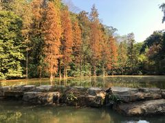 -云溪植物园