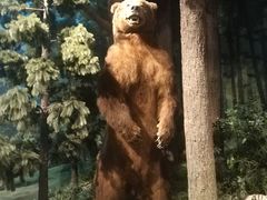 -陕西自然博物馆