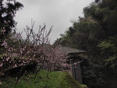 -滴水洞景区
