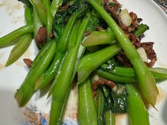 -朱记乳鸽王·非遗石岐乳鸽·全鸽宴(大兴旗舰店)