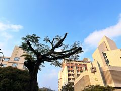 -厦门大学(思明校区)