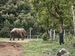 -宁波野生动物园