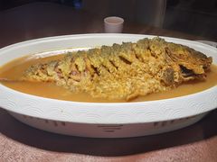 -豫丰汇河南名菜楼(武记餐饮)