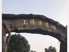 -上膳源有机农场