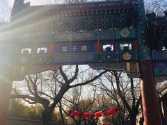 -北京国子监胡同