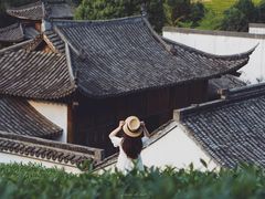 -帐篷客·溪龙茶谷度假酒店