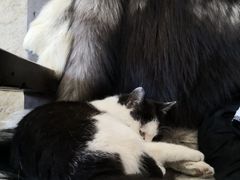 -蓟县盘山滑雪场