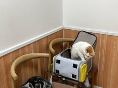 -宠福鑫动物医院(望京分院)