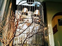 -小广寒电影艺术餐厅(小广寒经三路店)
