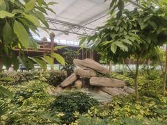 -南宫五洲植物乐园