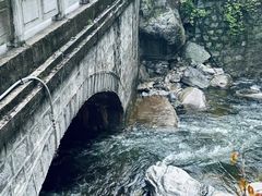 -陕西省红河谷森林公园