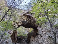 -大连天门山国家森林公园