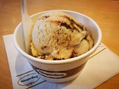 -哈根达斯(西安高新店)