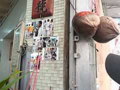 -洪馨椰子