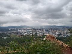 -长虫山生态公园风景林