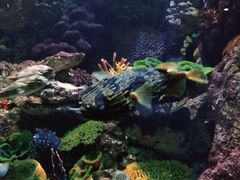 -海合安青岛极地海洋公园