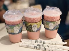 -野萃山·潮汕厚果汁(十亩地店)