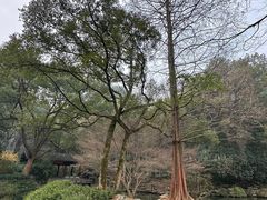 -杭州植物园
