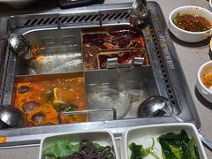 -海底捞火锅(青悦城店)