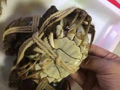 -喜洋洋蟹庄(阳澄湖店)
