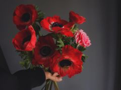 -Flower in(密渡桥店)