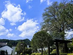 -罗田天堂寨风景区