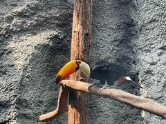 -武汉动物园