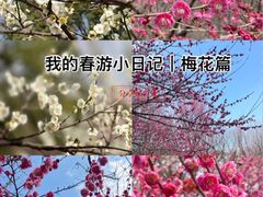 -南湖湿地公园