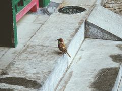 -郭守敬纪念馆