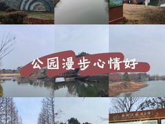 -南湖湿地公园