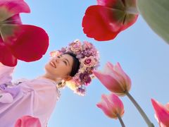 -荷兰花海