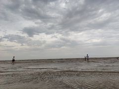 -奉贤海滩