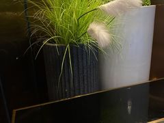 -粤海璇宫·木棉花高空旋转餐厅·聚会派对