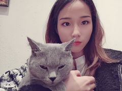 -猫色咖啡·猫咖