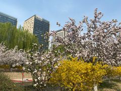 -元大都城垣遗址公园