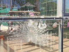 -羊亭河湿地公园