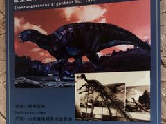 -世界恐龙谷景区