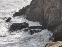 -广东惠东海龟国家级自然保护区