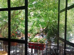 靠窗位-玫瑰厅上海菜(兴国路店)