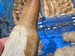 -海月轩海鲜豆捞(紫金塔店)