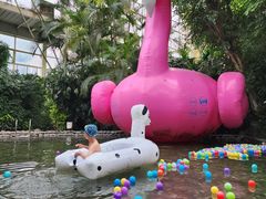 -龙熙温泉水世界