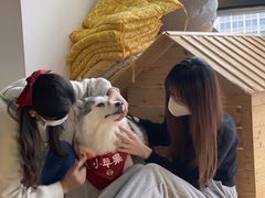 -Husky Go! 哈士奇体验馆·宠物咖啡厅狗咖