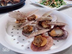 -四海鲜渔家菜(黄金海岸店)