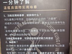 -温鉴良实用咏春拳