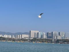 -蠡湖大桥公园