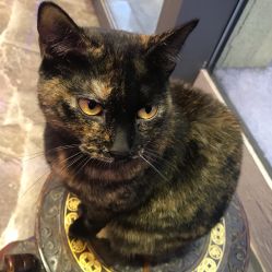 -RL Nail·瑞丽美甲美睫品牌原创店