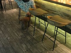 -星巴克(广州动漫星城东区店)